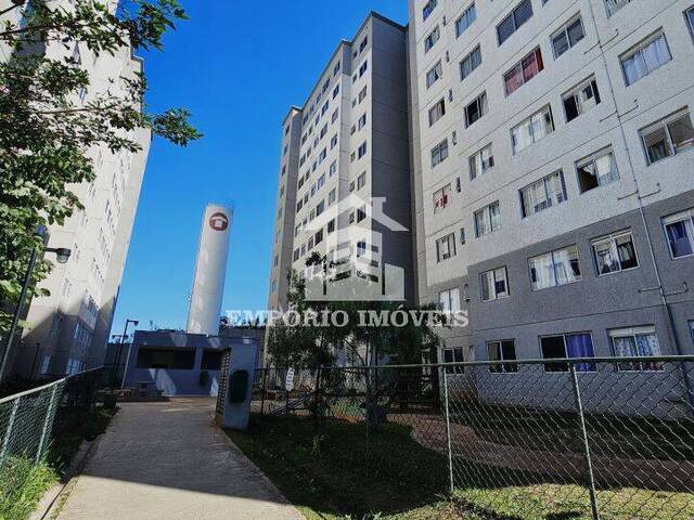 Venda em Santa Etelvina - São Paulo