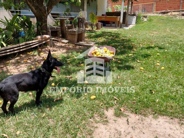 #1623 - Área para Venda em São Paulo - SP - 3