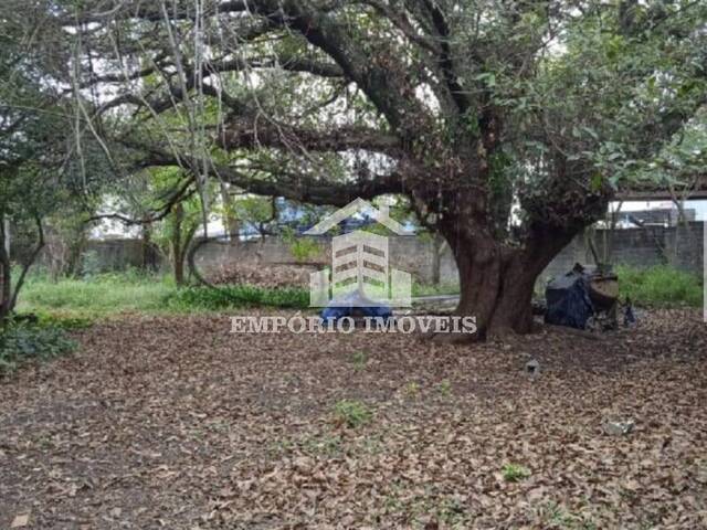 Venda em Chácara Santa Etelvina - São Paulo