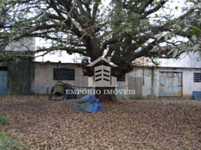 Área para Venda em São Paulo - 5