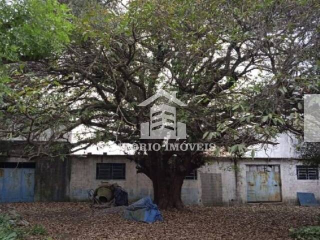 #1704 - Área para Venda em São Paulo - SP - 3